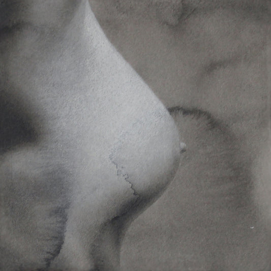 Obra Fragmentos de Eva II