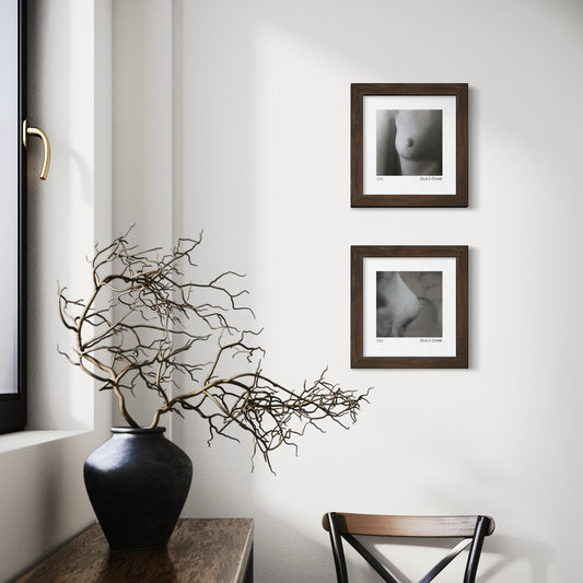 Prints Edición Limitada | La herencia de Eva