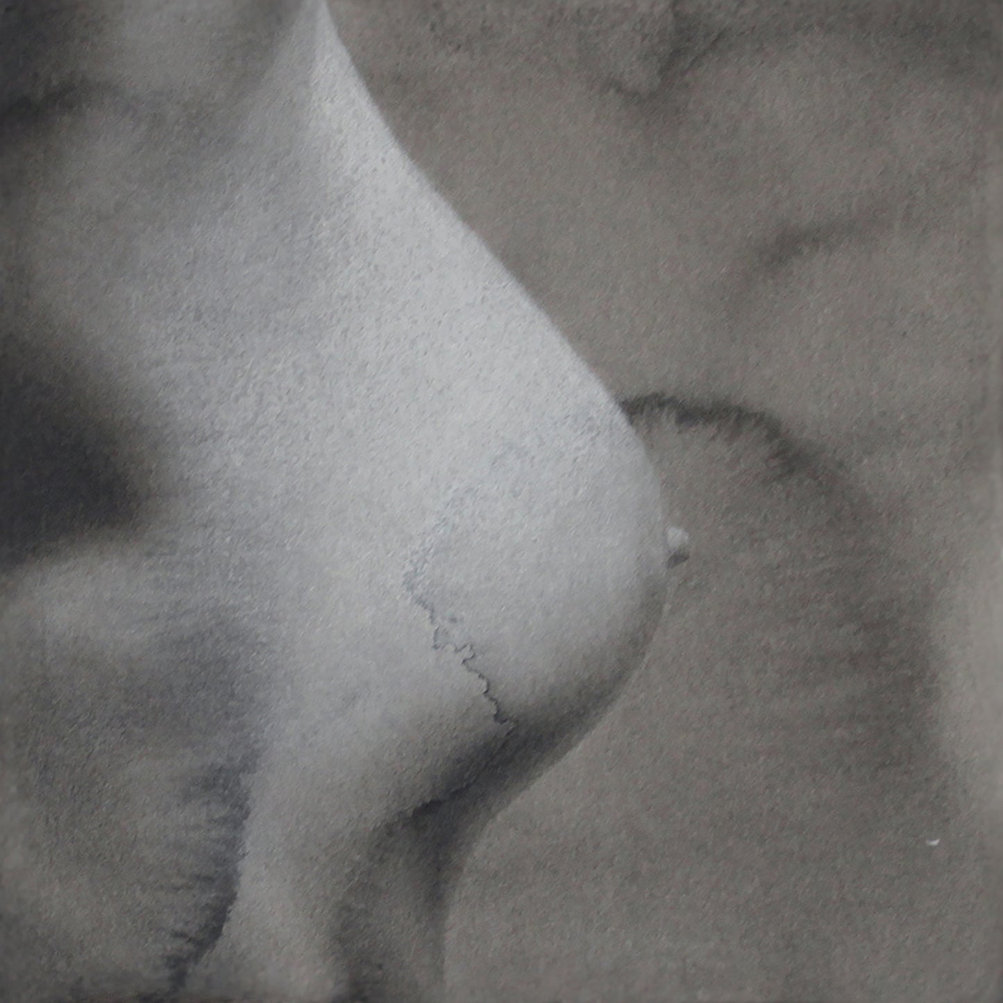 Obra Fragmentos de Eva II