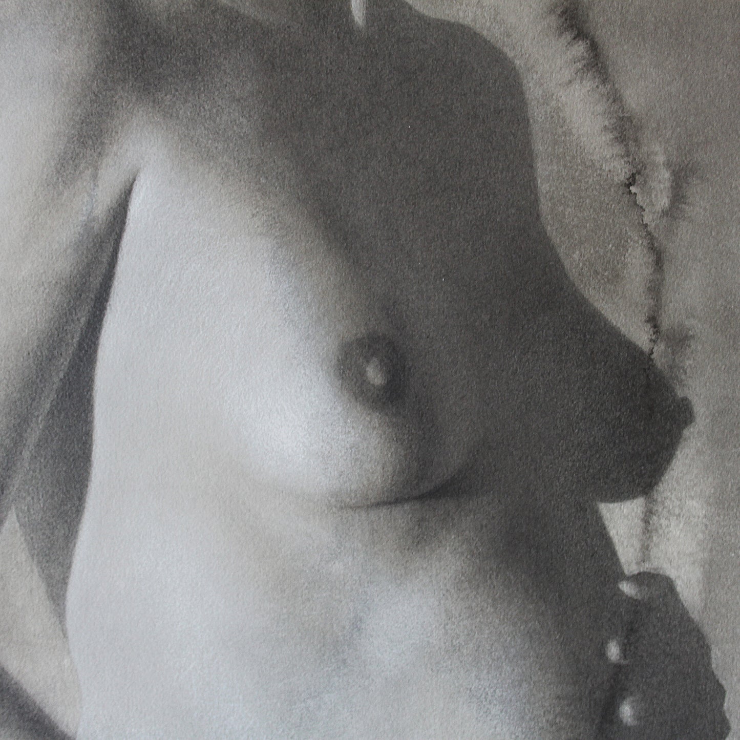 Detalle de la obra La herencia de Eva V